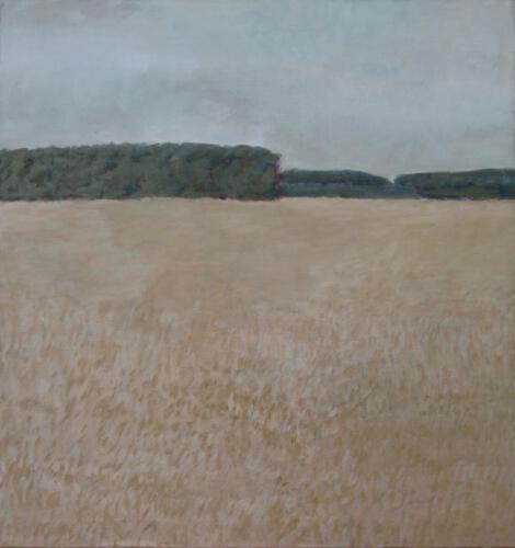 2003 Brandenburg
