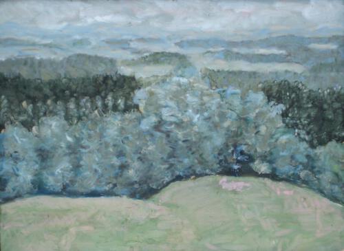 2005 AllgäuerAnsichten 3