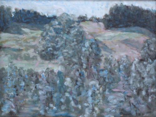 2005-AllgäuerAnsichten 7