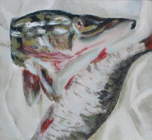 2008 Fischiges 1