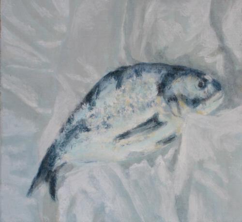 2008 Fischiges 4